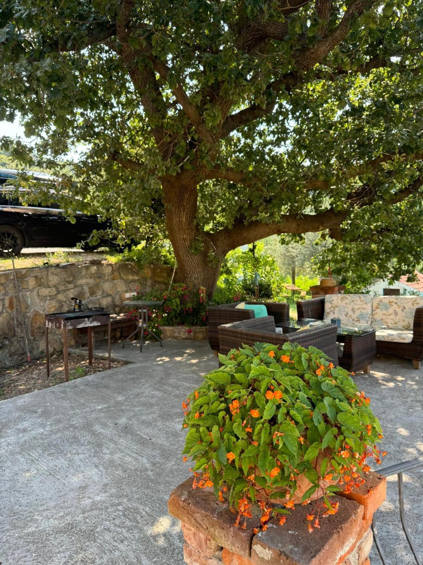 Apartments Dumicic Supetarska Draga Luaran gambar